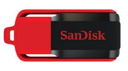 SanDisk Cruzer Switch