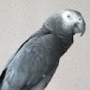 Ruslan