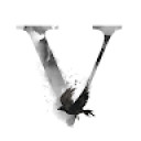 Vilma